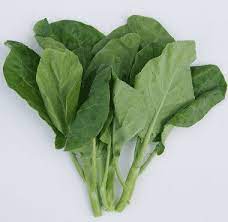 Pin On Benih Sayuran