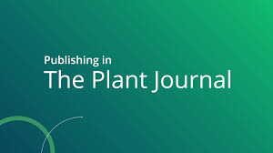 The Plant Journal Wiley Online Library