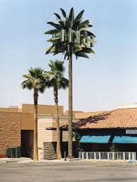 Maybe you would like to learn more about one of these? Cell Phone Towers Disguised As Trees Bored Panda