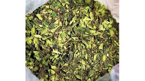 Khat definition at dictionary.com, a free online dictionary with pronunciation, synonyms and translation. 300 Kg Of Banned Khat Leaves Labelled As Green Tea Seized By Dri