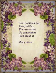 All night in the brisk and shallow restlessness of early spring i think of her, her four black fists flicking the gravel, her tongue like a red fire touching the grass, the cold water. 59 Mary Oliver Ideas Mary Oliver Words Mary Oliver Poems