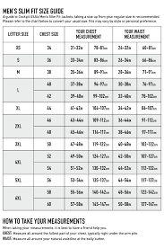 Avirex Leather Jacket Size Chart Www Prosvsgijoes Org