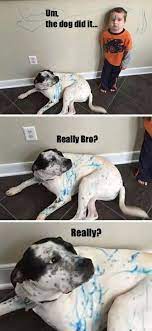 National puppy day is held on march 23rd every year in the hopes of improving the lives of puppies everywhere. 50 Hilarious And Relatable Dog Memes For National Dog Day In 2021 Funny Boyfriend Memes New Funny Memes Funny Memes Sarcastic