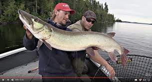 Youtube Anglers You Should Subscribe To And More Aaron Wiebe Jessie Baker Pete Maina The Lindner S Angling Ed In 2021 Walleye Fishing Walleye Fishing Tips Walleye