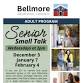 Senior Small Talk event in Bellmore, NY