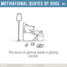 Funny quotes to share with your friends and family are a fantastic way to lift your mood and bring a little sunshine to your life. Motivational Quotes By Dogs 3 The Secret Of Getting Ahead Is Getting Started Dog Quotes Dog Quotes Love Dog Quotes Funny