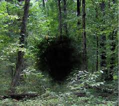 Pin By Celadonn On D D Characters In 2020 Welcome To Night Vale Memes Night Vale