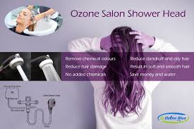 Salon chemical free shampoo at alibaba.com can be conveniently used in hotels, spas, salons, and homes. Hair Salon Shower Ecozone Blue Limited Supplier Of Quality Ozone Generators And Accessories For Organic Eco Friendly Chemical Free Disinfection