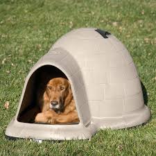 Houses For Small Dogs Goldenacresdogs Com
