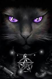 Marsida Mema Adli Kullanicinin Cats Panosundaki Pin Black Cat Sanat Fantazi Sanati Cizimler