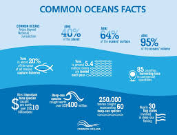 Pin By Bianca Engel On Scuba And Shark Stuff Ocean Information Ocean Marine Biology