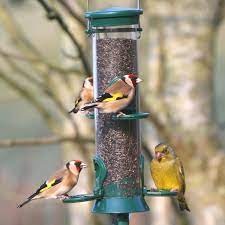 So hang those niger feeders and enjoy the finches and other birds! Defender 4 Port Nyjer Feeder Cj Wildlife