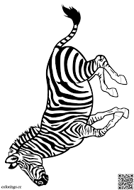 Vector modern music banners set. Zebra Coloring Pages Wild Animals Coloring Pages Colorings Cc