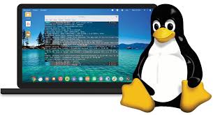 By nick mediati pcworld | today's best tech deals picked by pcworld's editors top deals o. Ten Reasons Why We Should Use Linux Open Source For You