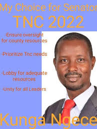 Alex Mugendi Wafestu for mca 2022