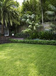 Lawn With Stairs Backyard Landscaping Tropical Garden Design Landscape Design