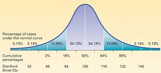The Meaning Of Iq Test Scores