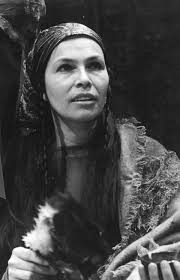 Reflections in the Medicine Wheel