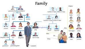 Family Vocabulario En Ingles Idioma Ingles Vocabulario