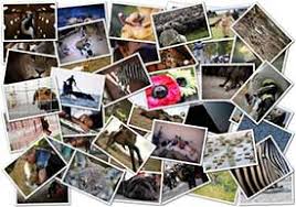 Like all kapwing tools , the collage maker is free to use and accessible online on. Shape Collage Online Free Automatic Photo Collage Maker