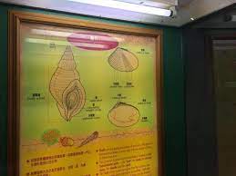 星期一、三至日 上午9時30分至下午5時 (展館開放至4時30分) 星期二休館 交通資訊：港鐵彩虹站c2出口，乘1a專線小巴 é¦™æ¸¯å¥½åŽ»è™• ç…å­æœƒè‡ªç„¶æ•™è‚²ä¸­å¿ƒ æˆ¶å¤–å­¸ç¿'ä¹‹å­©å­åšåŠŸèª² é¦¬å–µåª½æˆé•·è¨˜