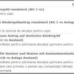 A) dovada plaţii contravalorii permisului de conducere şi a taxei de eliberare a acestui document ( 68 ron la trezorerie sau la ghiseu utilizând cardul bancar. Documente Preschimbare Permis Romanesc In Germania Avocat Online