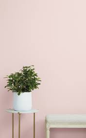 Baby Soft Light Pink Interior Paint Color Try This Pink Paint Color In A Nursery Or Child S Room To Crea Pink Paint Colors Light Pink Paint Pink Bedroom Walls
