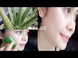 Gunakan Masker Lidah Buaya Sebelum Tidur Ini Manfaatnya Apply Aloe Vera Every Night Youtube