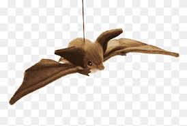 Check spelling or type a new query. í° ê°ˆìƒ‰ ë°•ì¥ Microbat ë„ˆêµ¬ë¦¬ ìž'ì€ ê°ˆìƒ‰ ë°•ì¥ ë™ë¬¼ ë°•ì¥ ë™ë¬¼ Cygnini ì¢… Png Pngwing