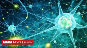 En francia, como la enfermedad de charcot, médico. Sindrome De Enclaustramiento La Pesadilla De Vivir Atrapado En Tu Propio Cuerpo Bbc News Mundo