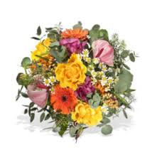 The best part about being ill is that you get to be served and taken care of by everybody. Mc Mahon S House Of Flowers Inc Get Well Soon Kingston On K7l 1a8 Ftd Florist Flower And Gift Delivery