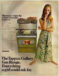 Image result for Turquoise 1961 Tappan
