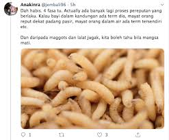 Download lagu bila israel datang memanggi mp3 dapat kamu download secara gratis di metrolagu. Bila Izrail Datang Memanggil Sains Forensik Bongkar Proses Pereputan Yang Ramai Tak Tahu