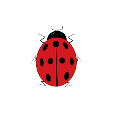 We did not find results for: Marienkafer Isoliert Abbildung Marienkafer Auf Grunem Hintergrund Netter Bunter Zeichenrotinsektsymbolfruhling Sommer Garten Vorlage Fur T Shirt Bekleidung Karte Poster Design Element Vektor Illustration Lizenzfrei Nutzbare Vektorgrafiken Clip