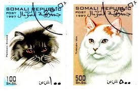 Somalian Stamps Kedi Posta Pulu Cats
