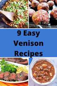 9 Easy Venison Recipes Venison Recipes Easy Venison Recipes Best Venison Recipe