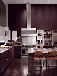 Vintage Wine Benjamin Moore Paint Color Of 2011 Kitchen Colors Kitchen Paint Trendy Kitchen Colors