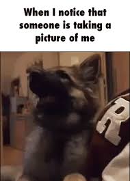 Quality bongo cat memes for 20 minutes.disclaimer: Yay Cat Memes Clean Page 1 Line 17qq Com