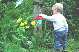 There is a thoughtfulness of their products not found in many other brands. Best 5 Lawn Care Tips For Your Garden Mower Warehouse