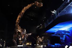 Mileymercier nue The album about mileymercier is to be seen