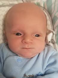 Gregory Walter Januszewski