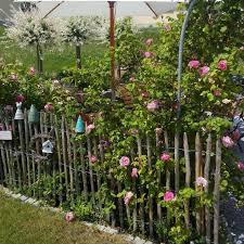 Gute Nacht Ihr Lieben Das Bild Habe Ich Gerade In Alte Bild Das Gerade Gute Nacht Ihr Lieben Das Bild Habe Ich In 2020 Vorgarten Blumengarten Diy Gartenprojekte