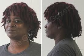 Erika Johnson — Houston County Jail Bookings