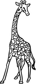 Dibujos De Jirafas Para Colorear