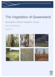 Image result for Digitaria gymnostachys