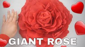 Giant tissue paper flowers diy. Diy Giant Paper Roses Simplekidscrafts Simplekidscrafts Youtube