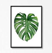 Monstera Leaf Poster Printable Tropical Art Classroom Plant Etsy Leaf Artwork Palm Frond Art Watercolor Leaves