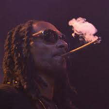 Sasha talked about seeing herself in the game for the first time and also her experience as a trailblazer for the wwe's burgeoning women's division. Snoop Dogg Has Been Inducted Into Wwe S Hall Of Fame Gigwise