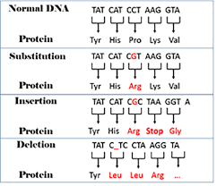 › answers to virtual labs. All Sorts Of Mutations Changes In The Genetic Code Lesson Teachengineering