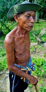 Attention snow shovelers, use extreme caution. The T-Rex are out and about.  And they're hostile